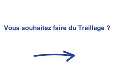 Treillageuse à échalas - Europe Industrie 